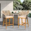 Bar Stools Set of 2, Outdoor Counter Height Bar Chairs with Arm and Backrest