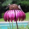 Pink Coneflower Bird Feeder Outdoor Decoration Garden Flower Picaflor Wild Bird Feeder Feeding Outside Rust Resistant Art Metal