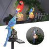 Parrot Decor Garden Solar Light