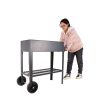 Aveyas Mobile Metal Raised Garden Bed Cart with Legs