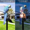 Parrot Decor Garden Solar Light